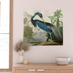 Louisiana Heron by John James Audubon  Wall Tapestry Gallery Image 2