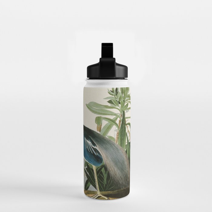 Louisiana Heron by John James Audubon  Water Bottle Gallery Image 2