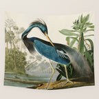 Louisiana Heron by John James Audubon  Wall Tapestry Gallery Image 4