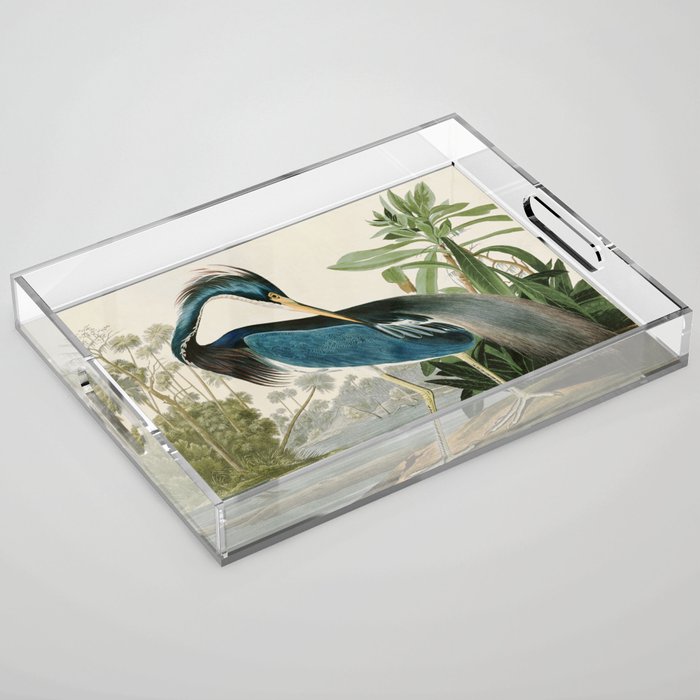 Louisiana Heron by John James Audubon  Acrylic Tray Gallery Image 1