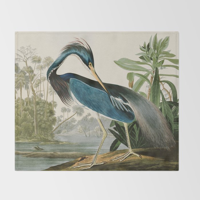 Louisiana Heron by John James Audubon  Throw Blanket Gallery Image 2