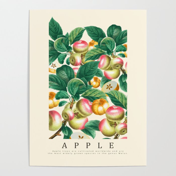 Apple Poster Gallery Image 4