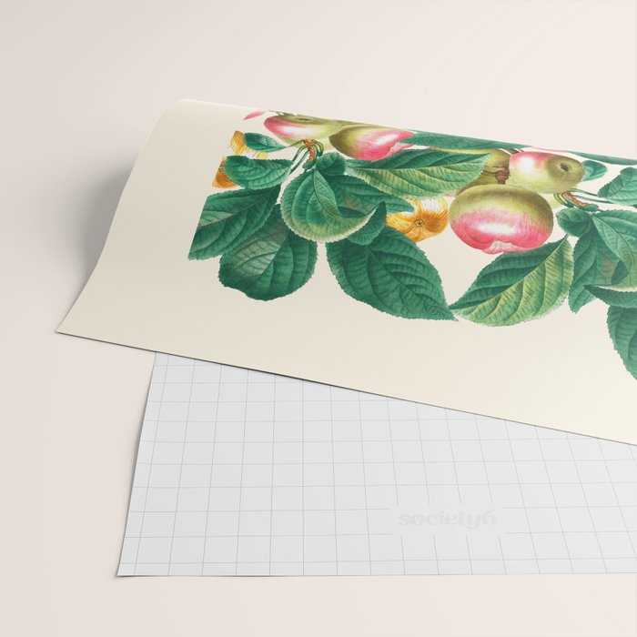 Apple Wrapping Paper Gallery Image 2