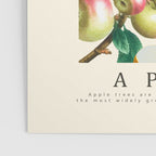 Apple Poster Gallery Image 3