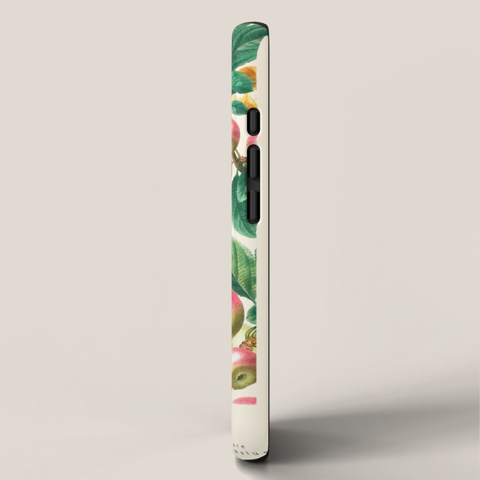 Apple iPhone Case Gallery Image 2