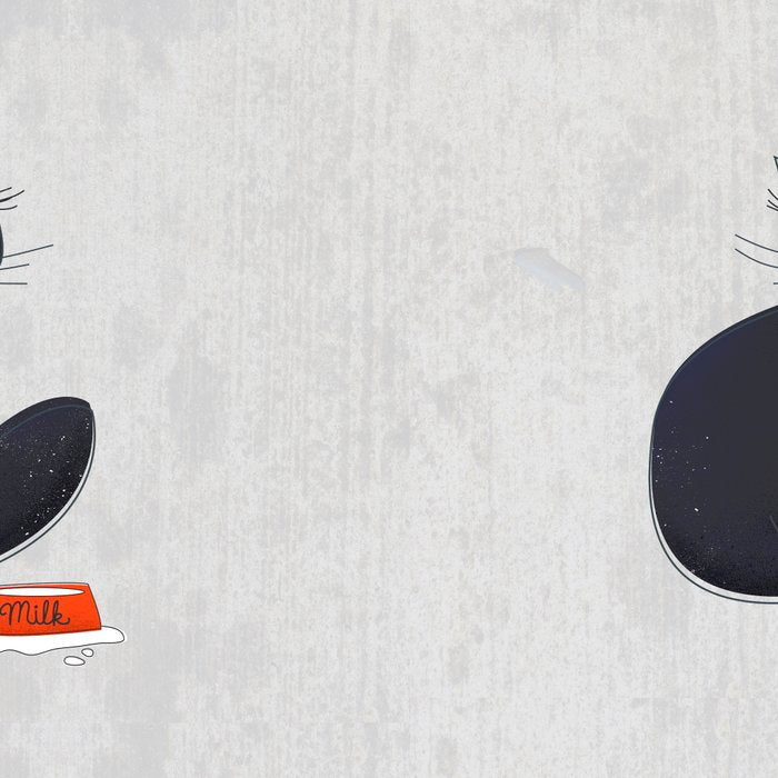 Black Silly Cat  Coffee Mug Gallery Image 2