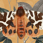 Butterfly 22 Coffee Mug Gallery Image 2
