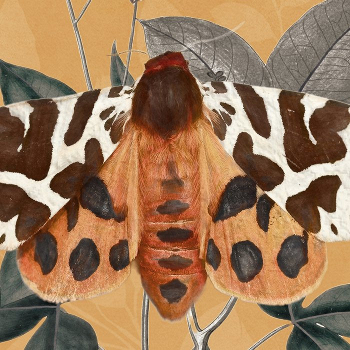 Butterfly 22 Coffee Mug Gallery Image 2