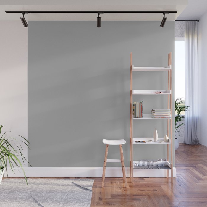 Light Gray Solid. Silver Minimalism Wall Mural Gallery Image 1