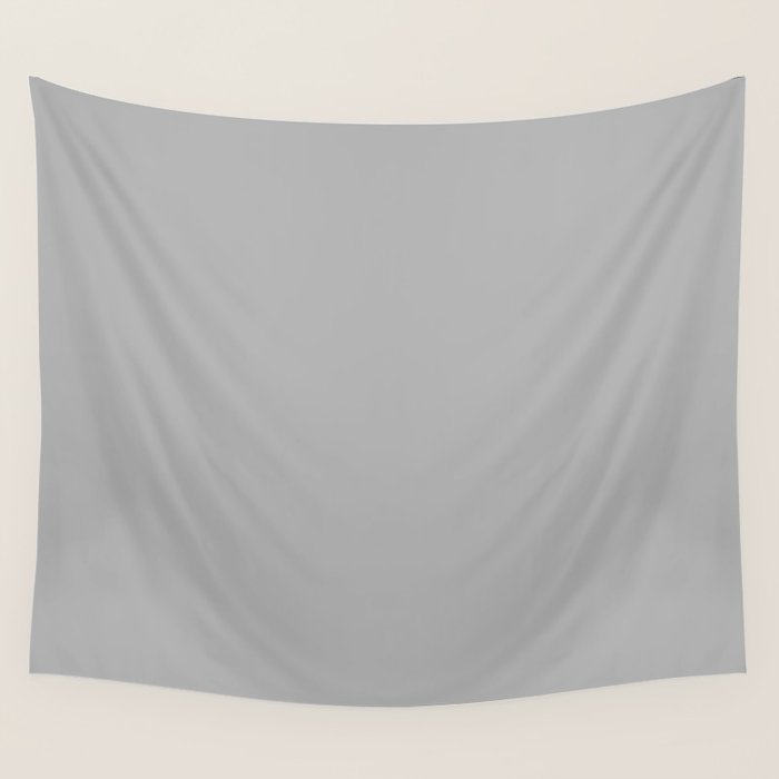 Light Gray Solid. Silver Minimalism Wall Tapestry Gallery Image 1