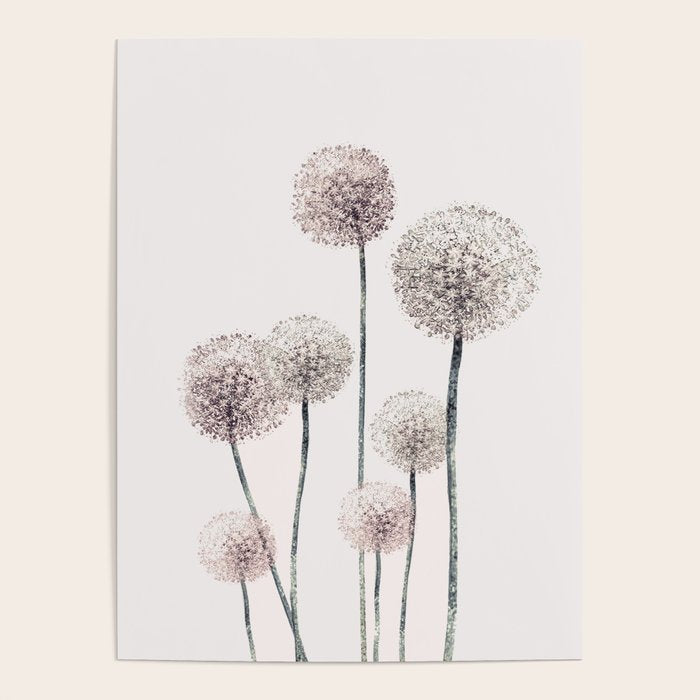 Dandelions Poster Gallery Image 4