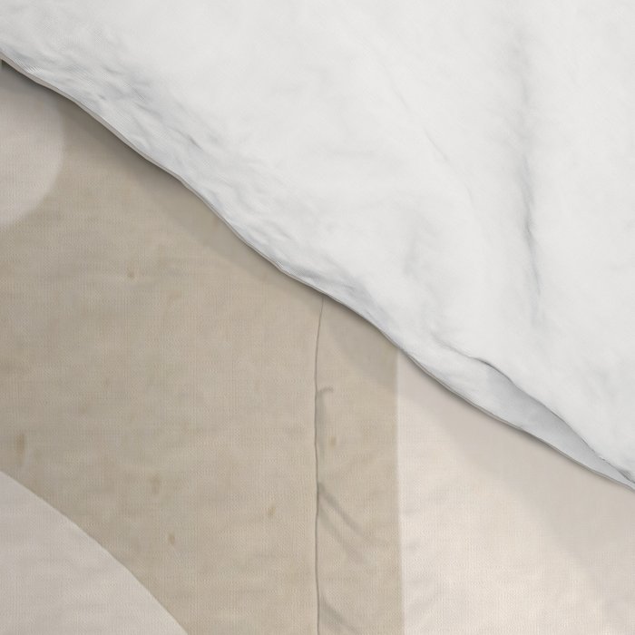 Modern Abstract Minimal Shapes 190 Comforter Gallery Image 4