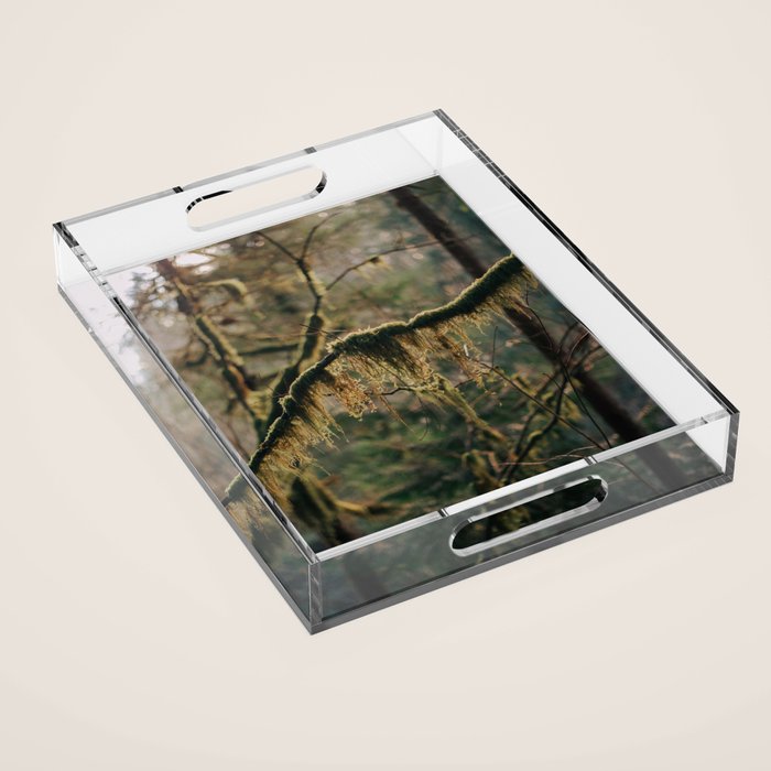 Hanging Moss Acrylic Tray Gallery Image 1
