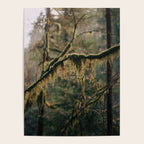 Hanging Moss Poster Gallery Image 4