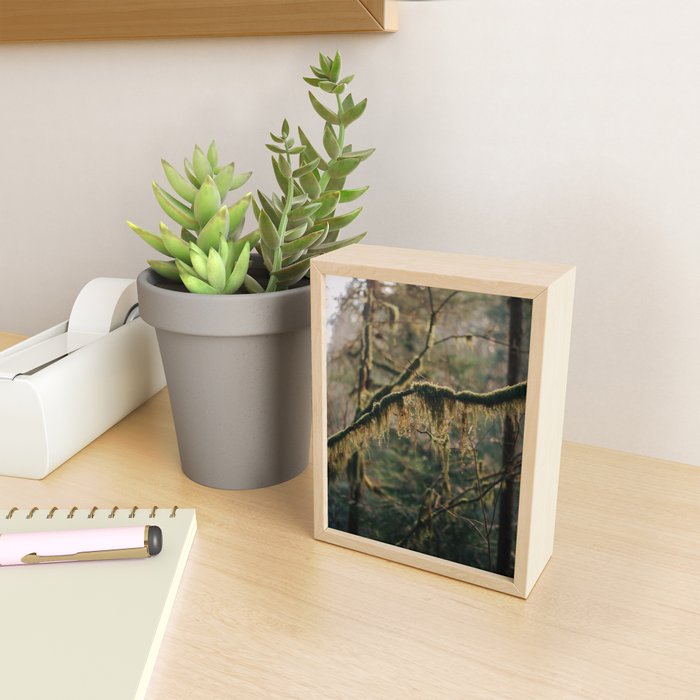 Hanging Moss Mini Art Print Gallery Image 2