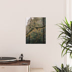 Hanging Moss Poster Gallery Image 2