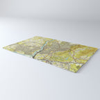Vintage Map of Asheville North Carolina (1943) Rug Gallery Image 3