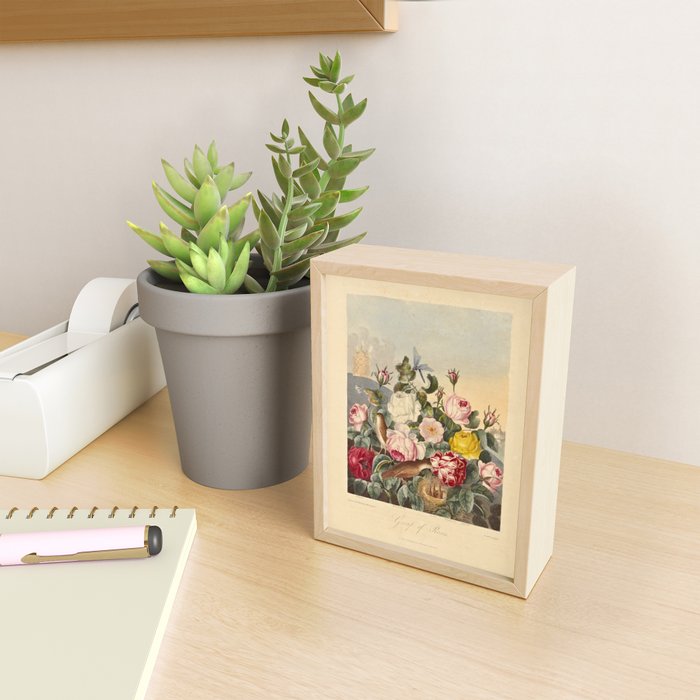 Roses from "The Temple of Flora," 1812 (benefitting The Nature Conservancy) Mini Art Print Gallery Image 2
