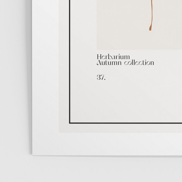 The Plant. Autumn Herbarium 7 Poster Gallery Image 3