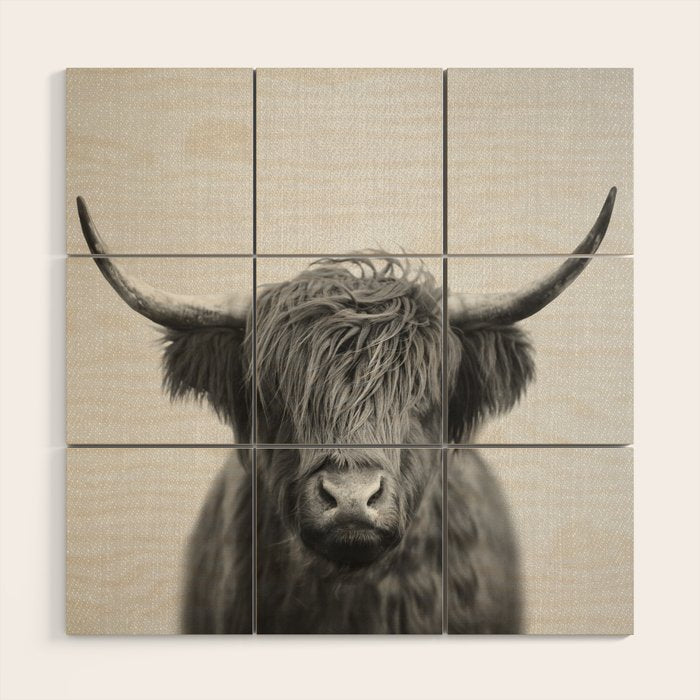 Highland Cow - Black & White Wood Wall Art Gallery Image 1