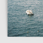 Italy coast in Portovenere | La Spezia, Cinque Terre | Fine Art Travel Photography Print  Poster Gallery Image 3