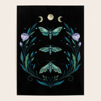 Lime Hawk Moths Night Poster Gallery Image 4