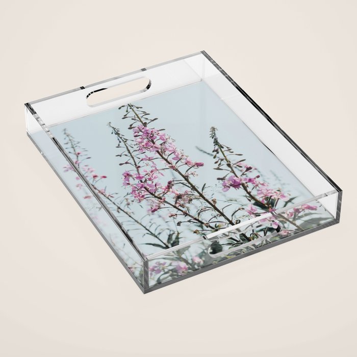 summer wildflowers - botanical flower photograph summer Maine Acrylic Tray Gallery Image 1