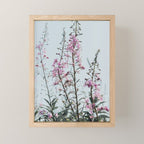 summer wildflowers - botanical flower photograph summer Maine Mini Art Print Gallery Image 1