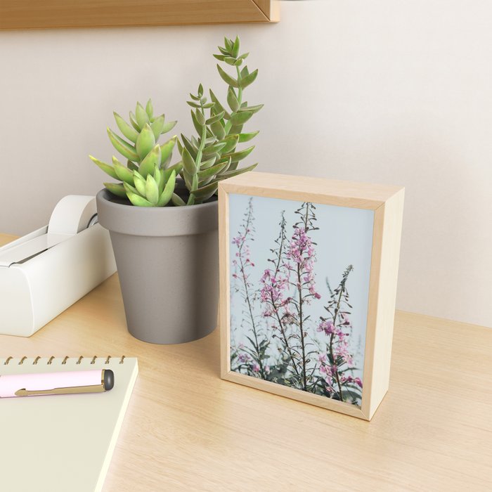 summer wildflowers - botanical flower photograph summer Maine Mini Art Print Gallery Image 2
