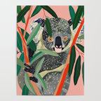 Koala Poster Gallery Image 4