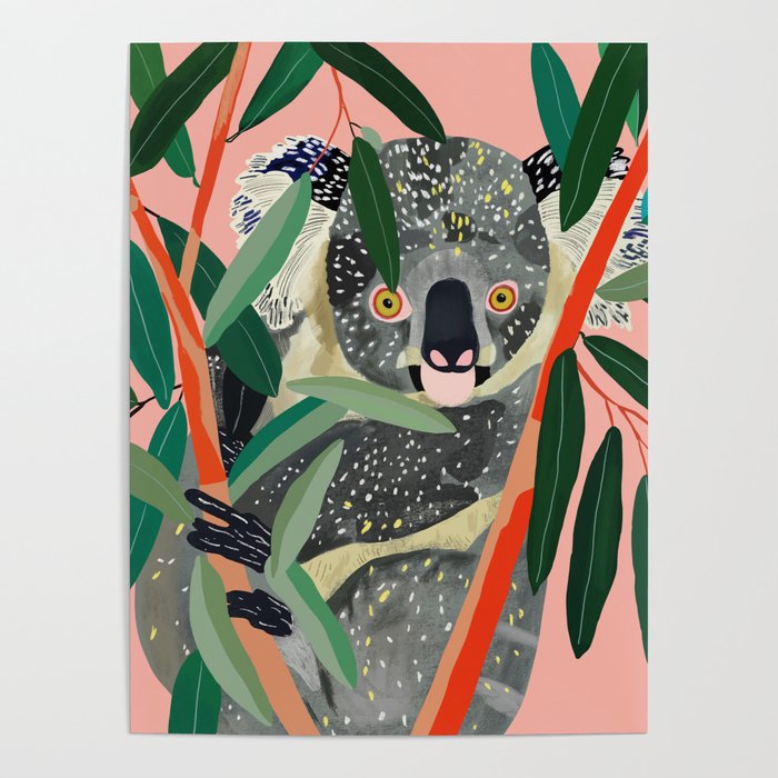 Koala Poster Gallery Image 4