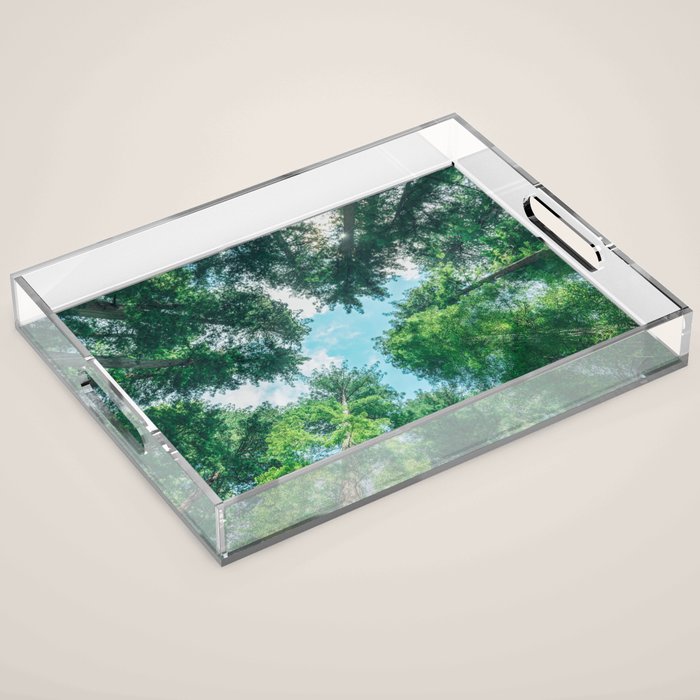 Lost In The Forest - Redwood National Park California Acrylic Tray Gallery Image 1