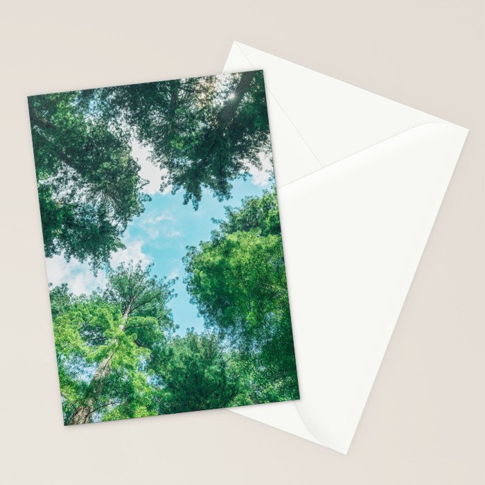 Lost In The Forest - Redwood National Park California Stationery Card Gallery Image 2