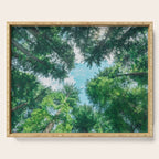 Lost In The Forest - Redwood National Park California Serving Tray Gallery Image 1