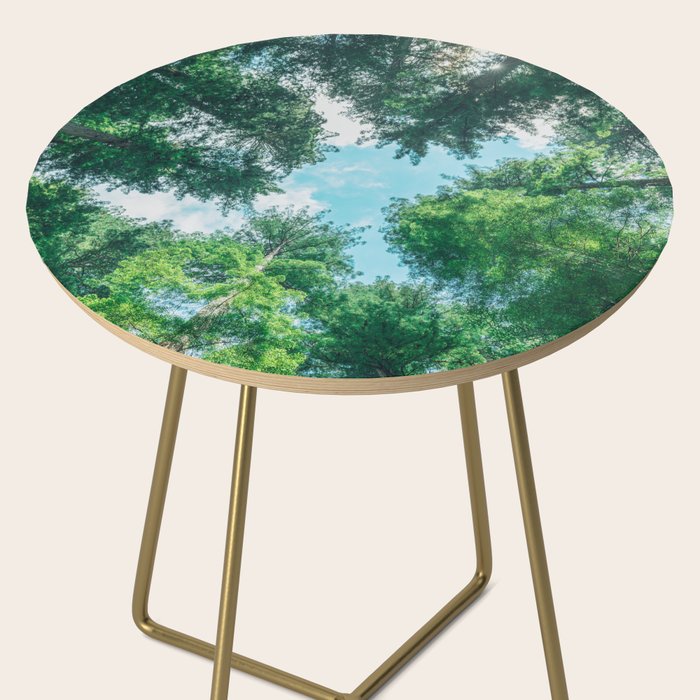 Lost In The Forest - Redwood National Park California Side Table Gallery Image 2