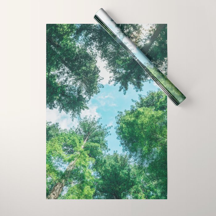 Lost In The Forest - Redwood National Park California Wrapping Paper Gallery Image 1