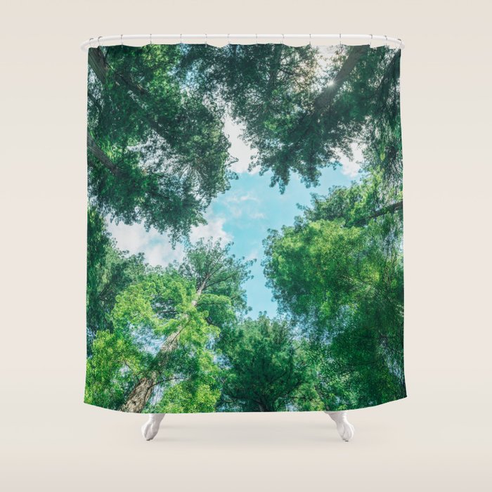 Lost In The Forest - Redwood National Park California Shower Curtain Gallery Image 1