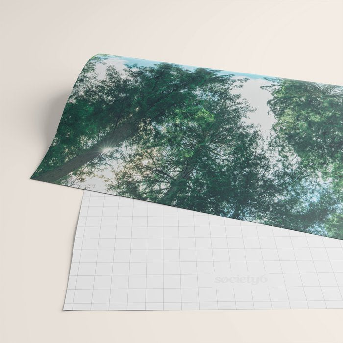 Lost In The Forest - Redwood National Park California Wrapping Paper Gallery Image 2
