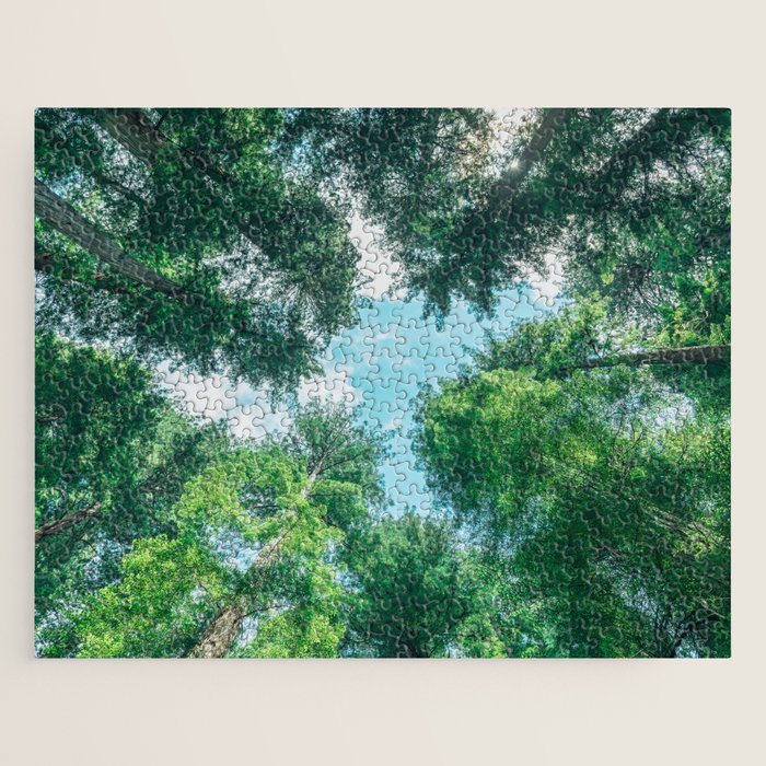 Lost In The Forest - Redwood National Park California Jigsaw Puzzle Gallery Image 1