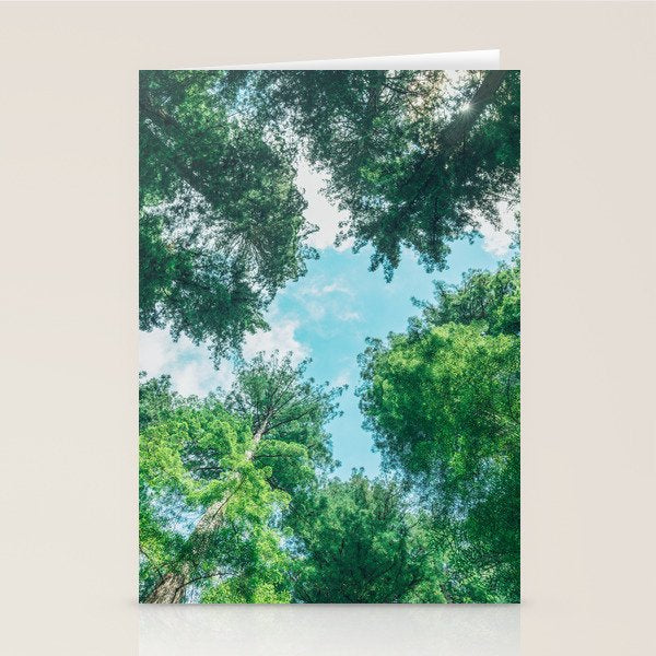Lost In The Forest - Redwood National Park California Stationery Card Gallery Image 2