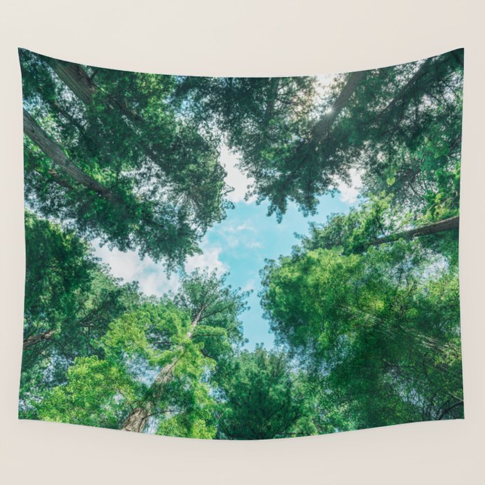 Lost In The Forest - Redwood National Park California Wall Tapestry Gallery Image 4