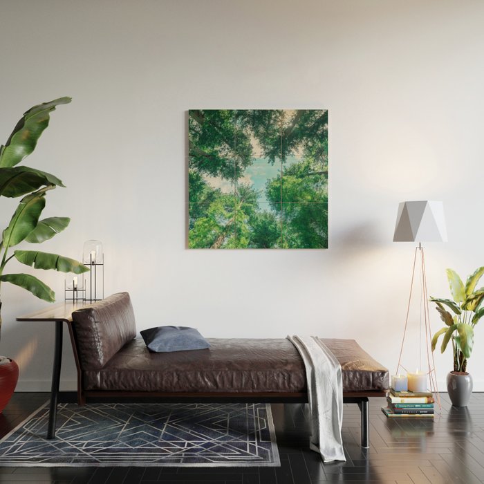 Lost In The Forest - Redwood National Park California Wood Wall Art Gallery Image 2