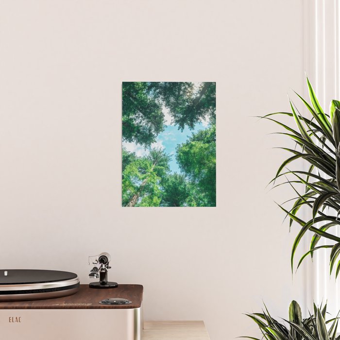 Lost In The Forest - Redwood National Park California Poster Gallery Image 2