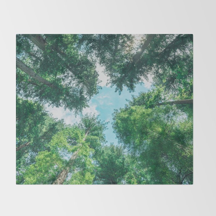 Lost In The Forest - Redwood National Park California Throw Blanket Gallery Image 2