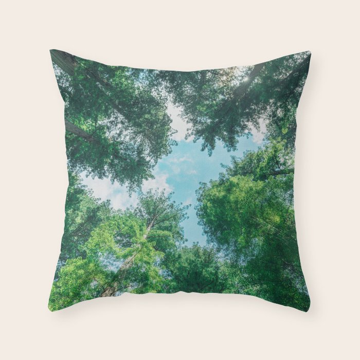 Lost In The Forest - Redwood National Park California Throw Pillow Gallery Image 1
