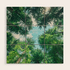 Lost In The Forest - Redwood National Park California Wood Wall Art Gallery Image 1