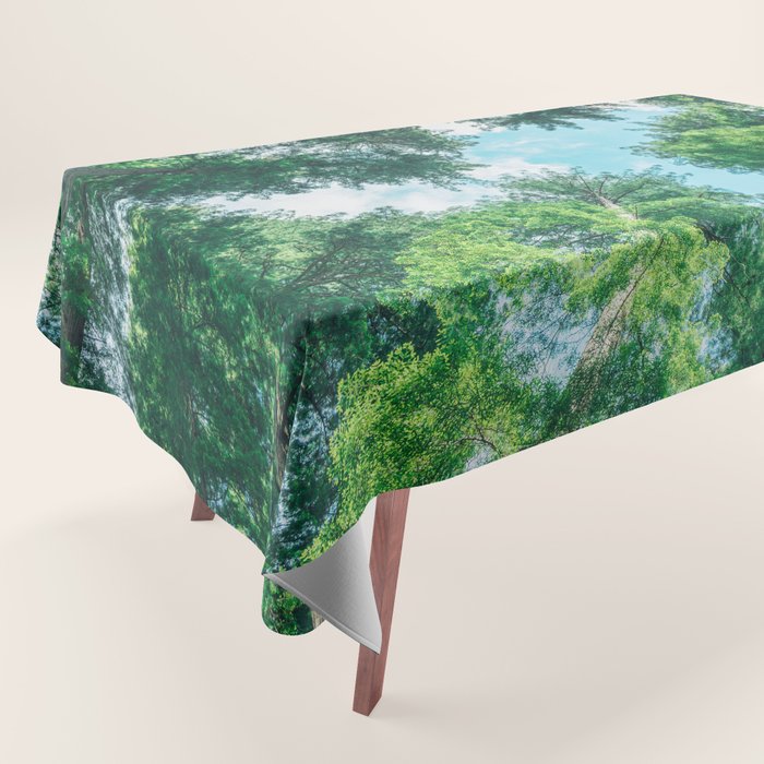 Lost In The Forest - Redwood National Park California Tablecloth Gallery Image 1