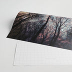 Starry Sky in the Forest Wrapping Paper Gallery Image 2