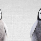Baby Penguin - Colorful Coffee Mug Gallery Image 2