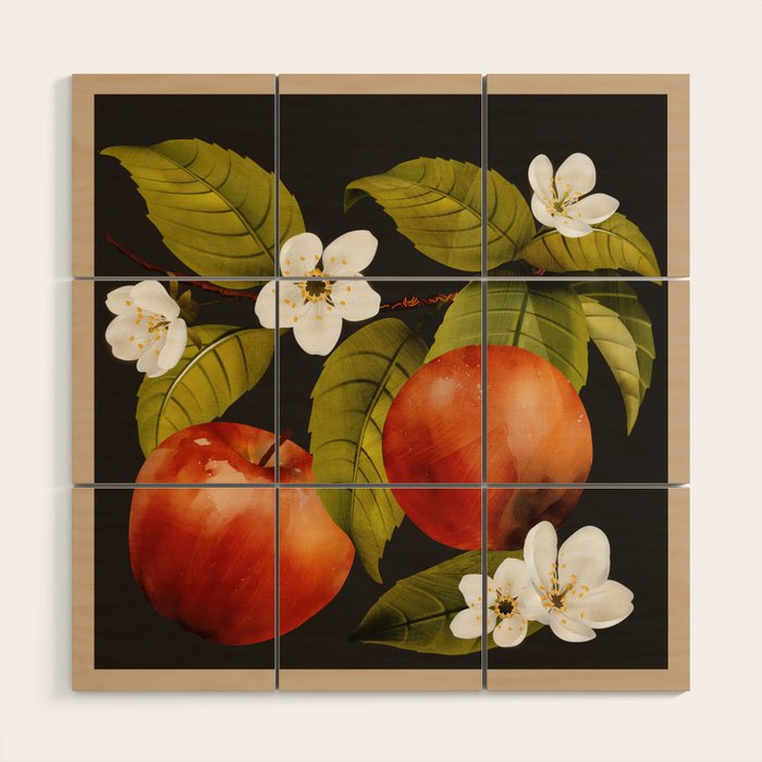 Apples Botanical Art 1 Wood Wall Art Gallery Image 1